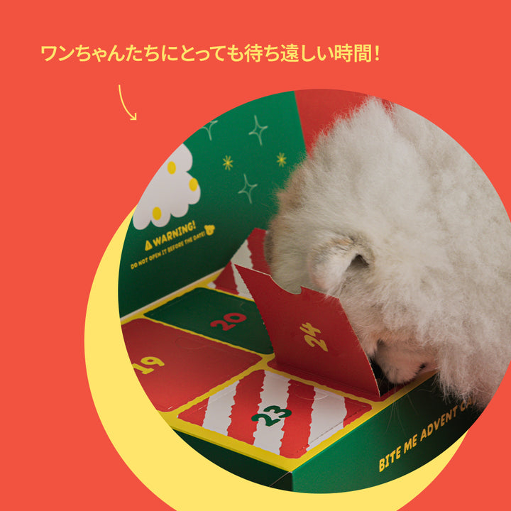 即納【BITE ME】Advent Calendar Toy Set