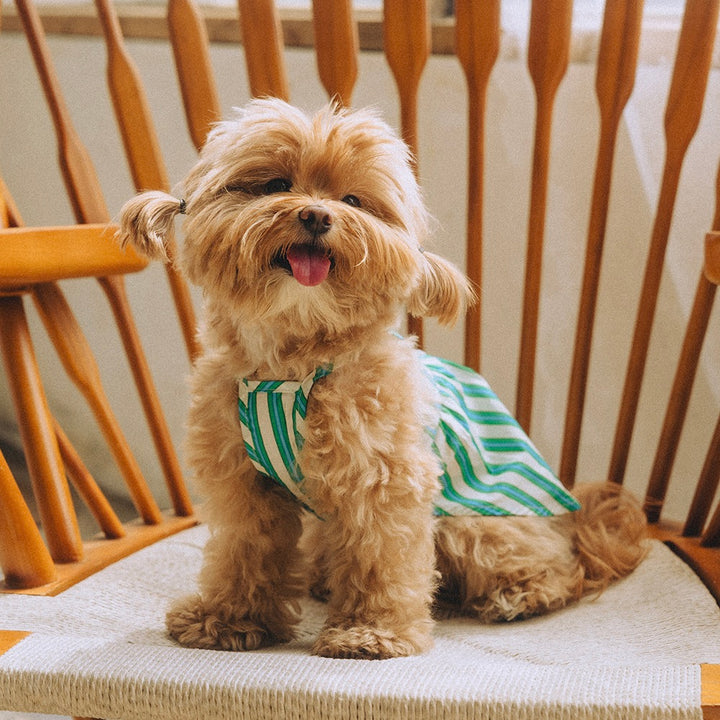 即納【noonoosoom】Stripe Dress（Green）