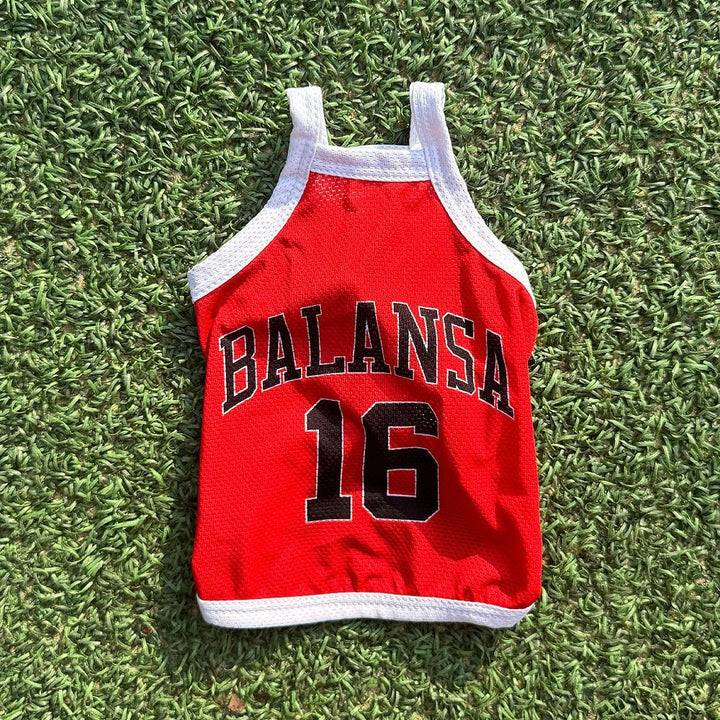 ※予約販売【CRR】Balansa Sporty Top（Red）