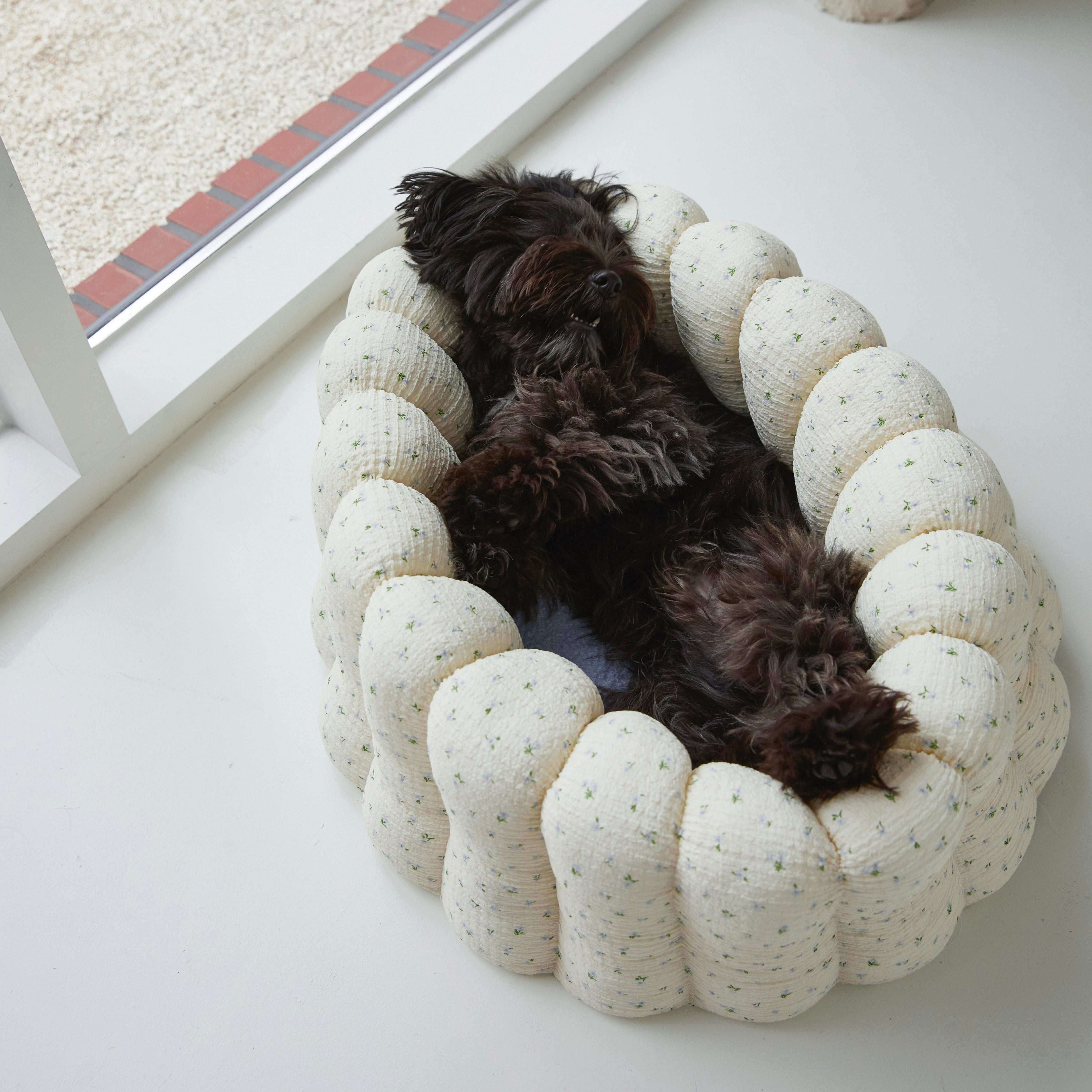 愛犬サンプル写真 海外犬服 高品質なインポートのドッグウェア通販 