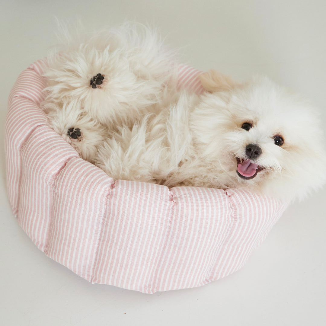 ※予約販売【azalea】Canele Cushion（Stripe Linen / Pink）