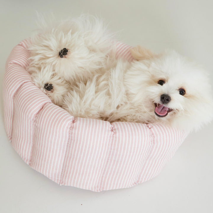 ※予約販売【azalea】Canele Cushion（Stripe Linen / Pink）