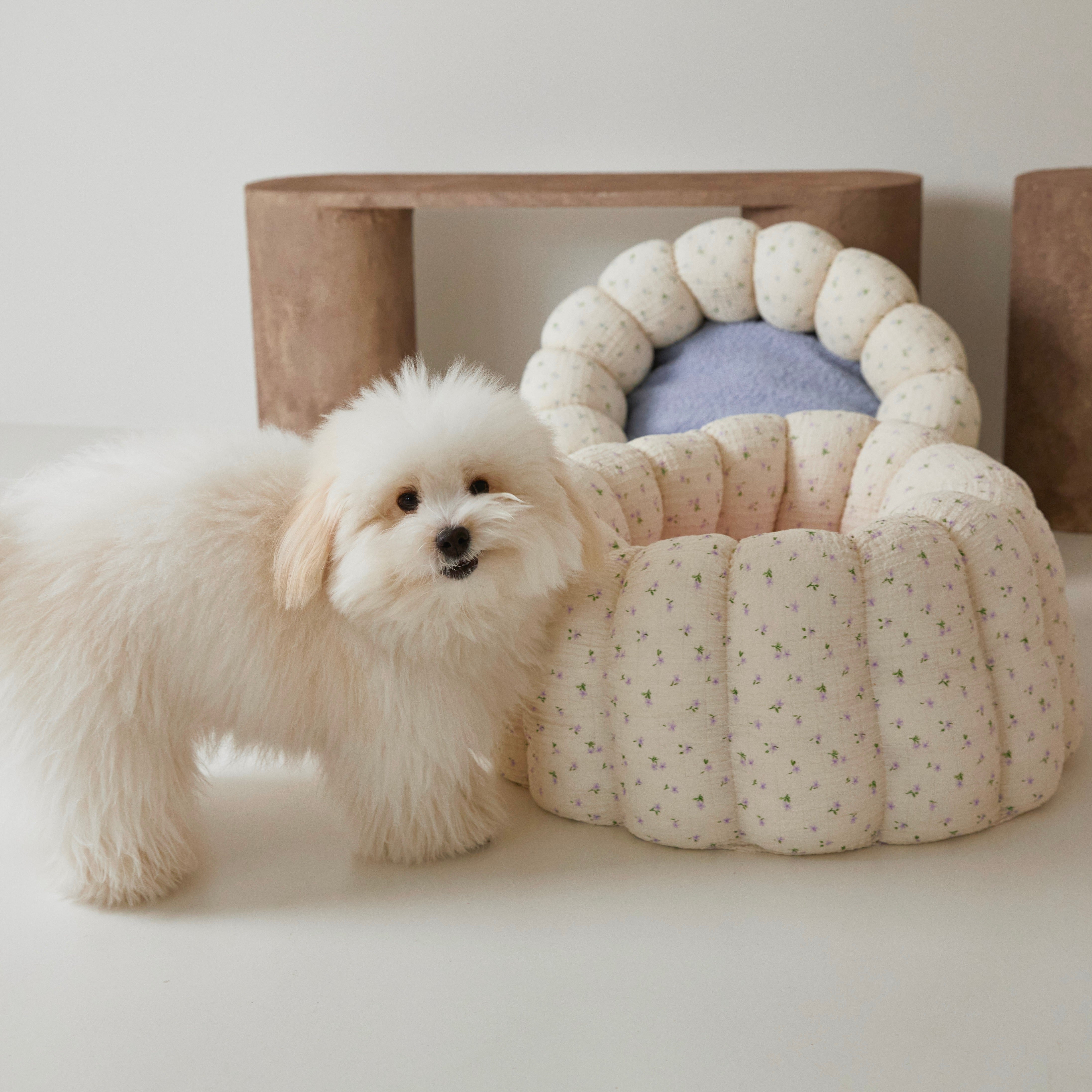 海外犬服 高品質なインポートのドッグウェア通販 