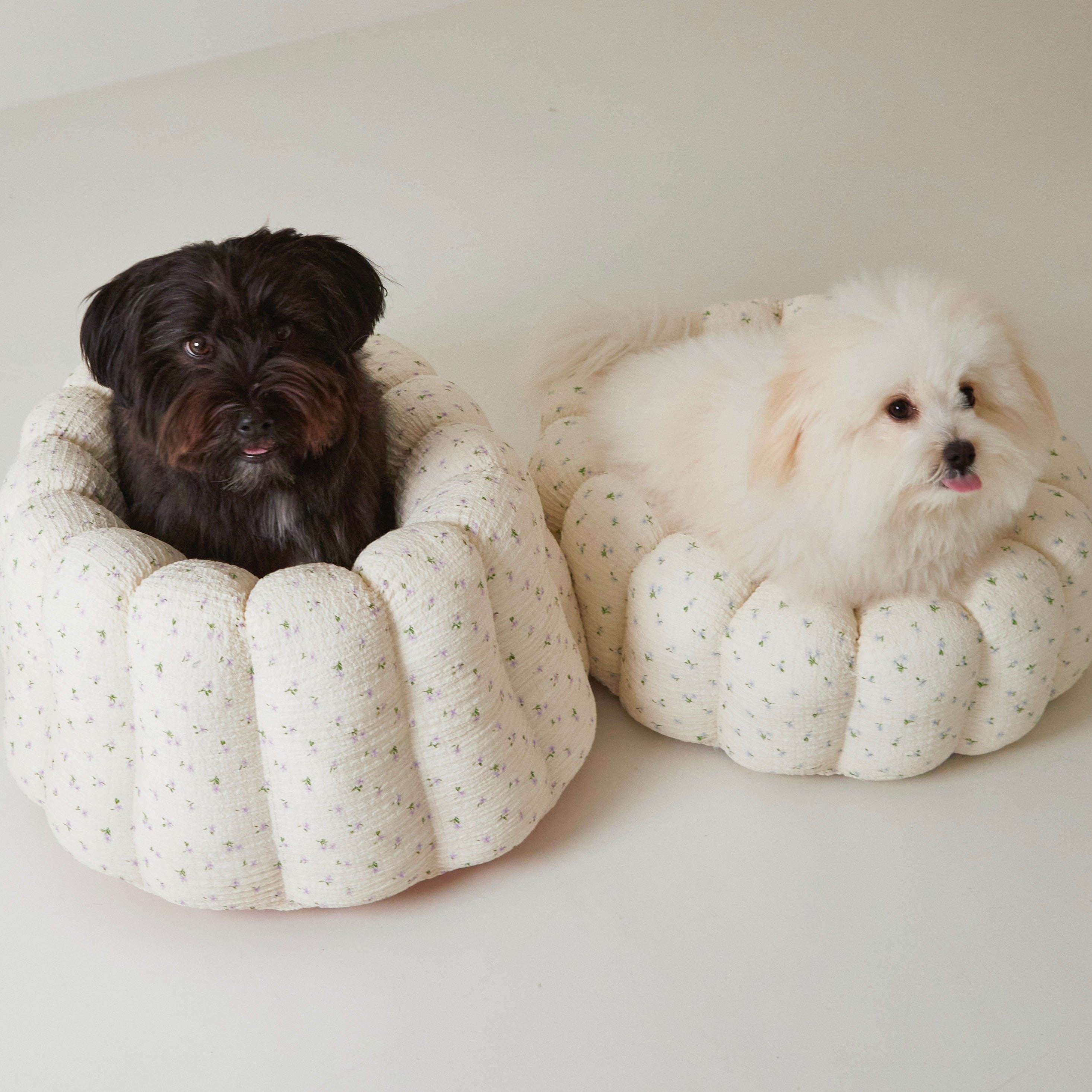 海外犬服 高品質なインポートのドッグウェア通販 