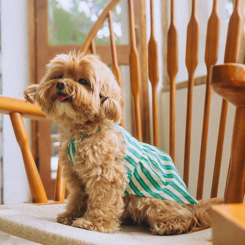 即納【noonoosoom】Stripe Dress（Green）