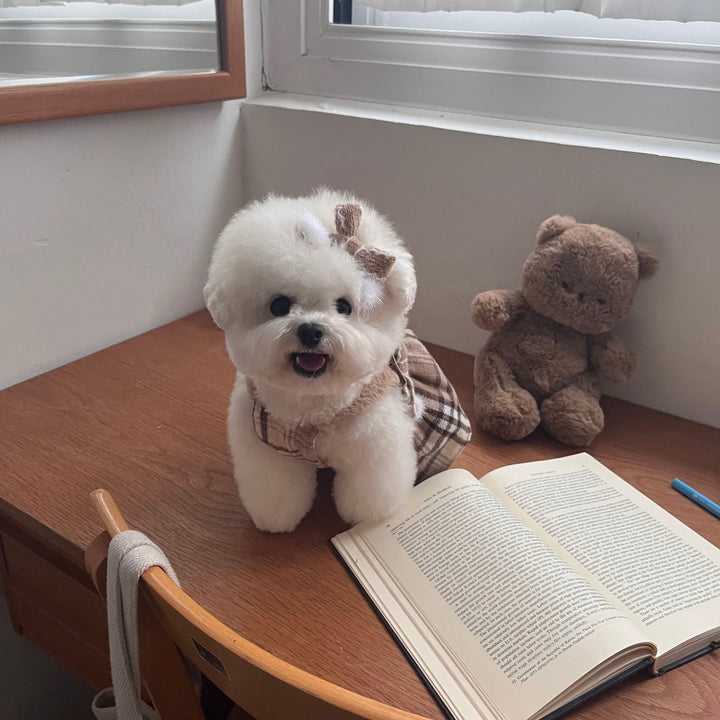 ※予約販売【Hi Yeboo】Audrey Ops（Brown）