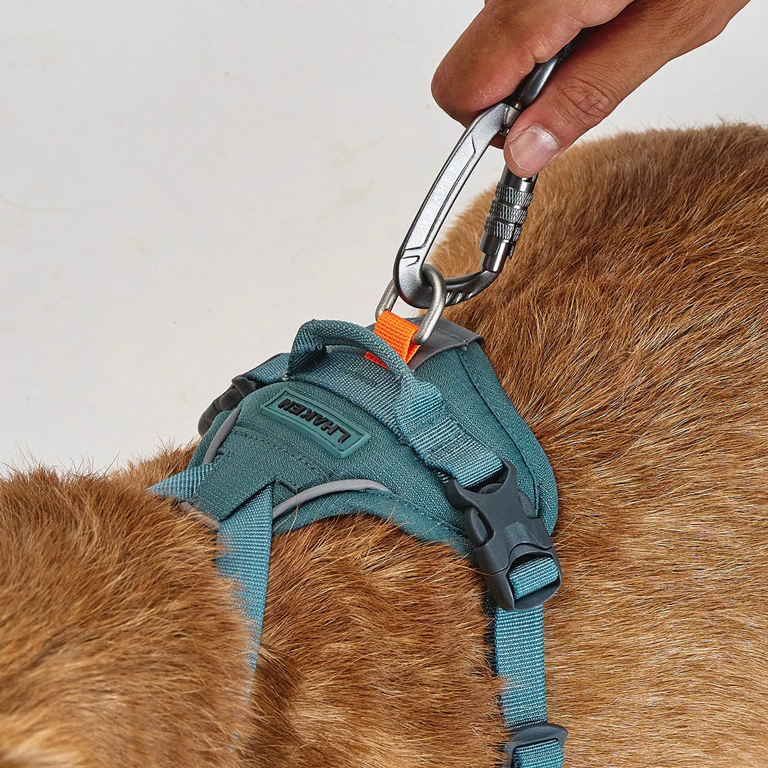 ※予約販売【munikund】REKTAIL Leash - Khaki（20mm/1.8M）