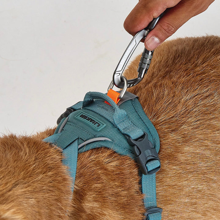 ※予約販売【munikund】REKTAIL Leash - Khaki（20mm/1.8M）