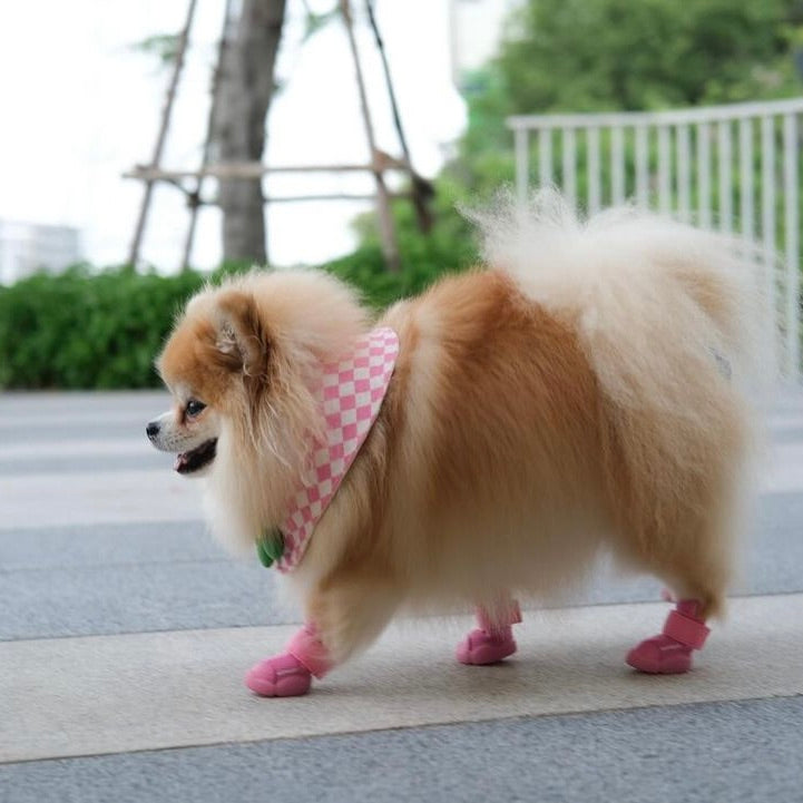 【RIFRUF】SNEAKERS CAESAR 3（RASPBERRY） daffodil-4side.png?v=1740706494