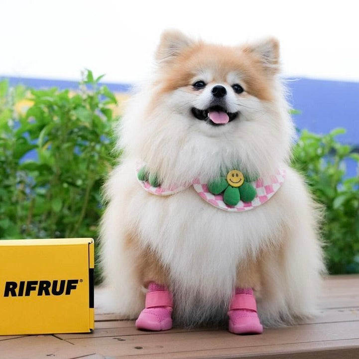 海外犬服 高品質なインポートのドッグウェア通販 