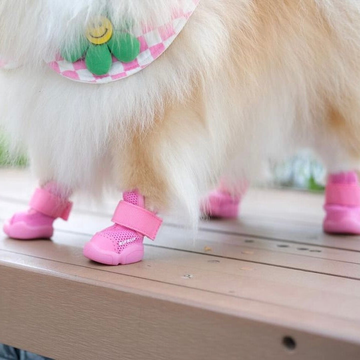 【RIFRUF】SNEAKERS CAESAR 3（RASPBERRY） RIFRUF】SNEAKERS CAESAR 3（RASPBERRY） - メルカリ