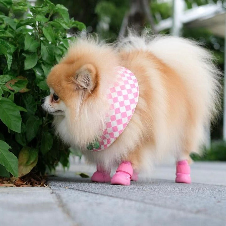海外犬服 高品質なインポートのドッグウェア通販 