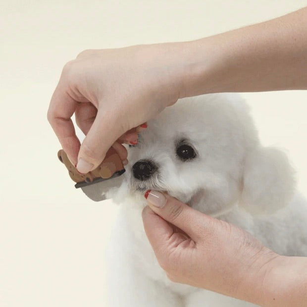 即納【meaningless】Gosomi Face Comb