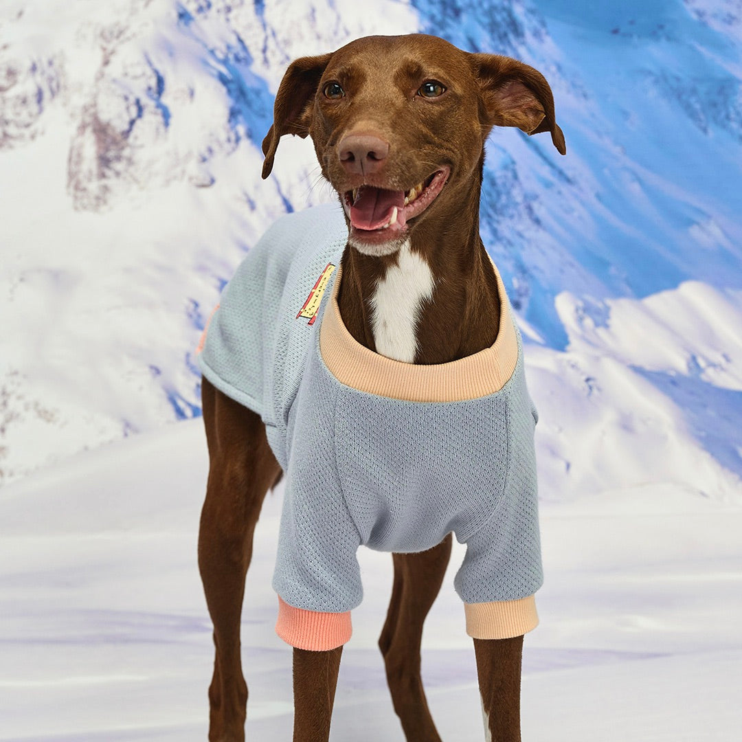 ※予約販売【munikund】Wuff Pullover（Blue）