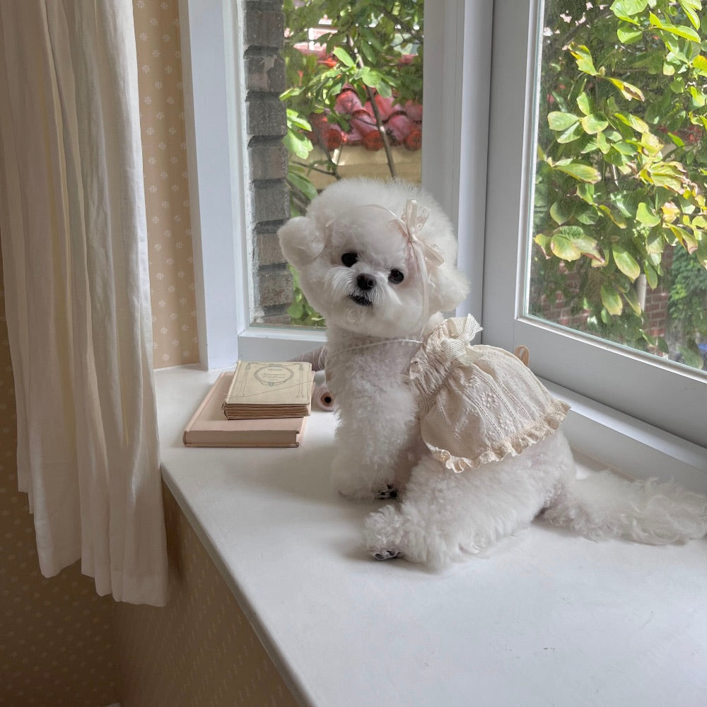 ※予約販売【Hi Yeboo】Roha Ribbon Ops