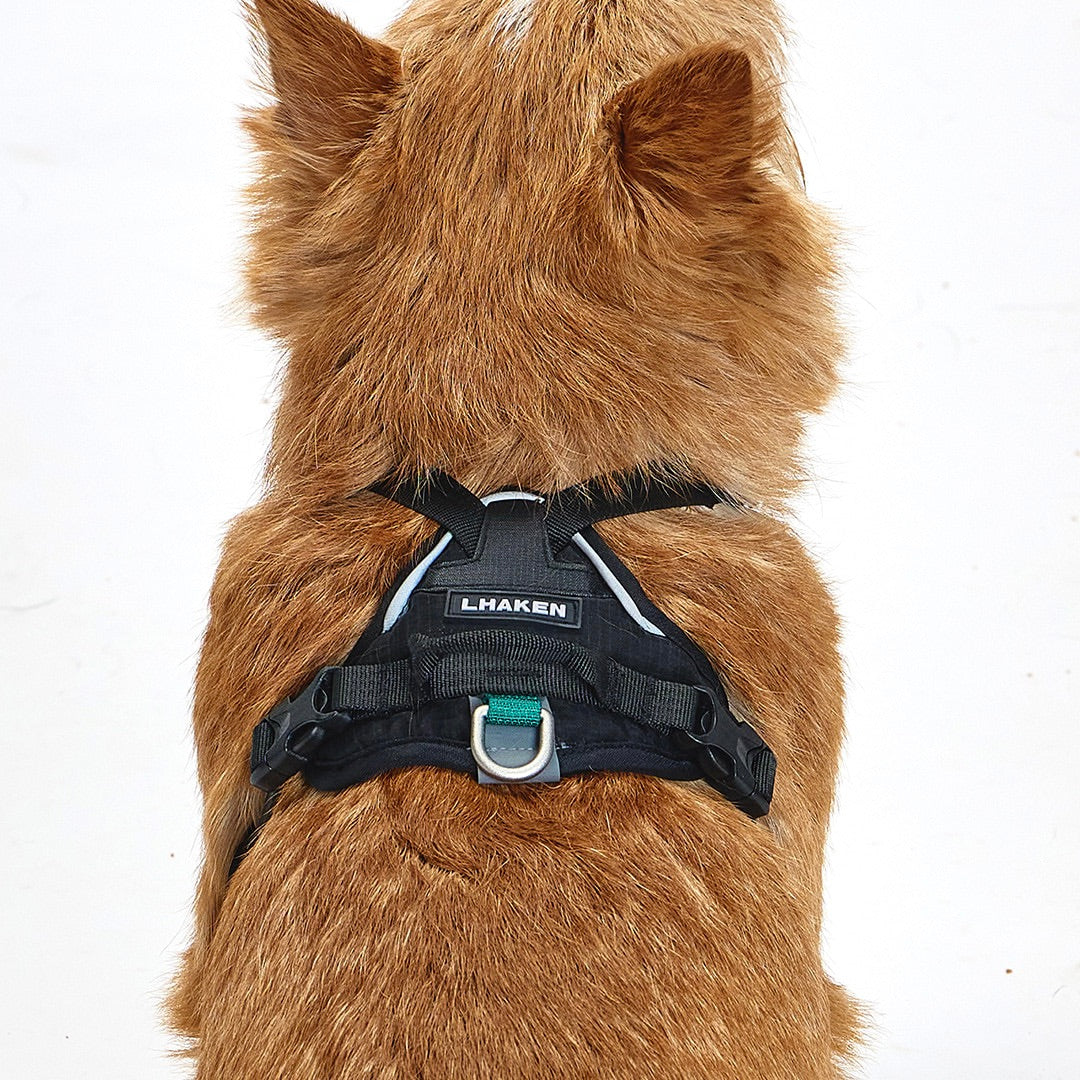 ※予約販売【munikund】TREKTAIL Harness - Black ｜犬用ハーネス