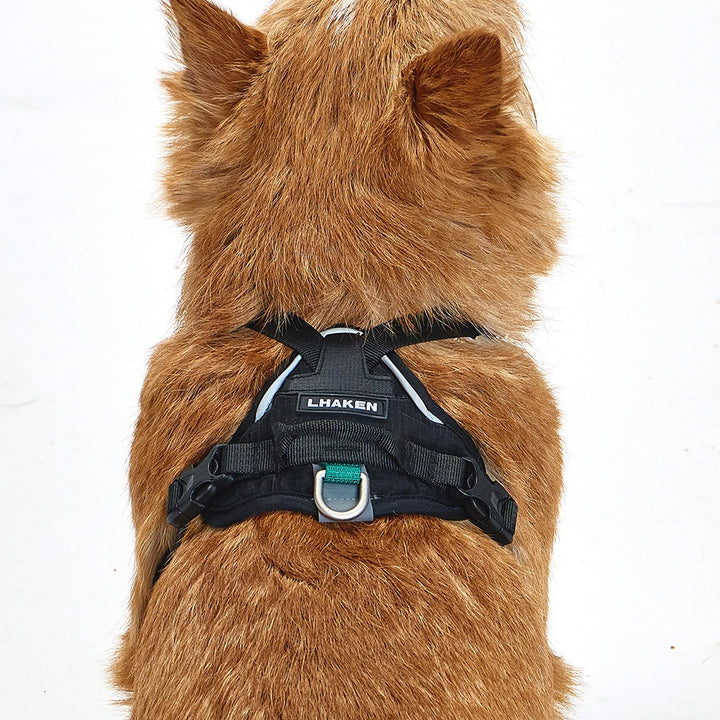 ※予約販売【munikund】TREKTAIL Harness - Black ｜犬用ハーネス