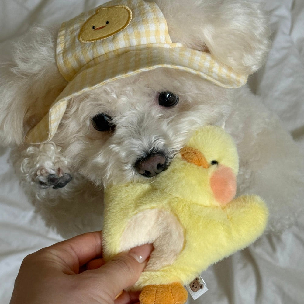 ※予約販売【meaningless】DoDo Plush Toy