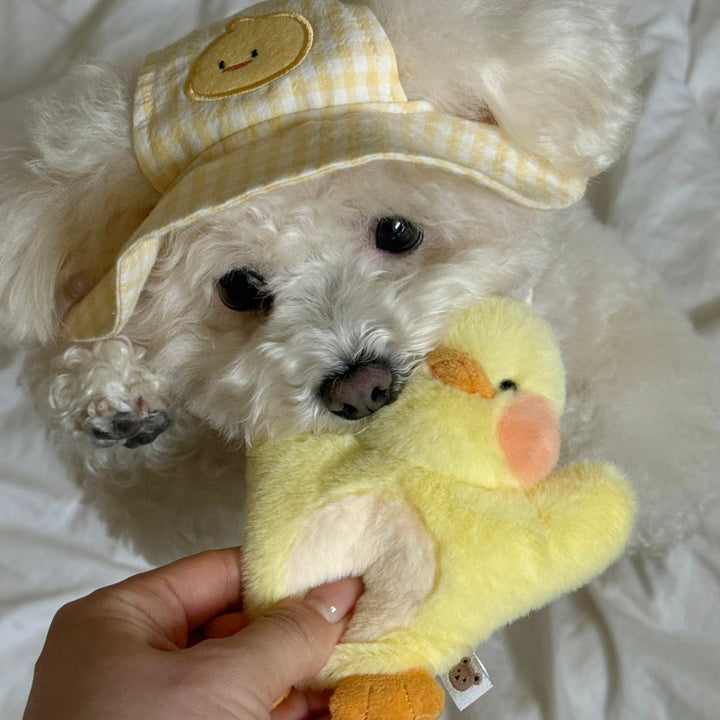 ※予約販売【meaningless】DoDo Plush Toy