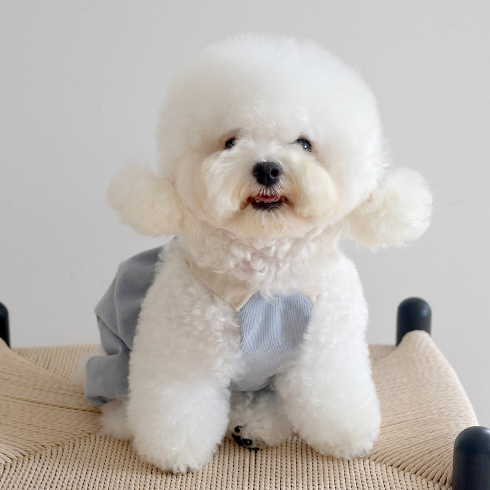 ※予約販売【near by us】corduroy dot crop top (blue)