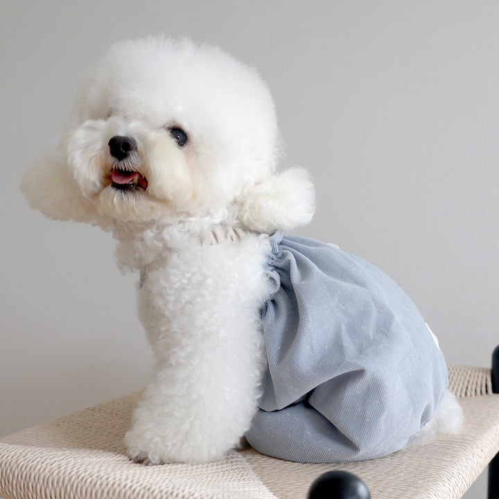 ※予約販売【near by us】corduroy dot crop top (blue)