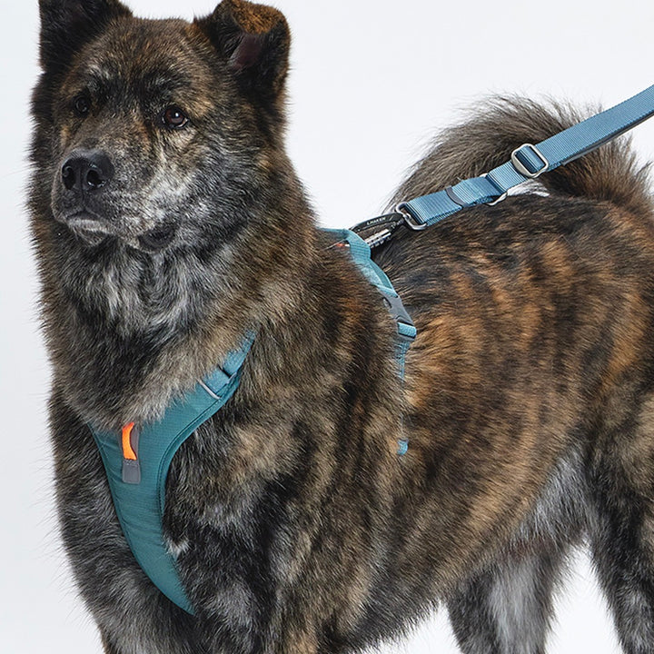※予約販売【munikund】TREKTAIL Harness - Khaki ｜犬用ハーネス