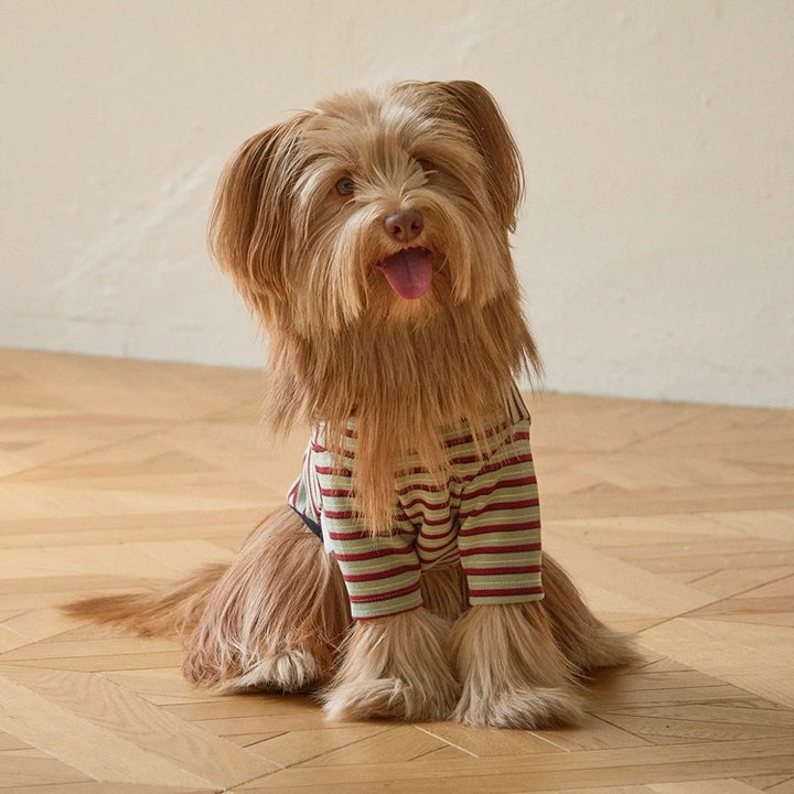 ※予約販売【andblank】A Stitch SoftWarm Stripe Short Sleeve（Green）