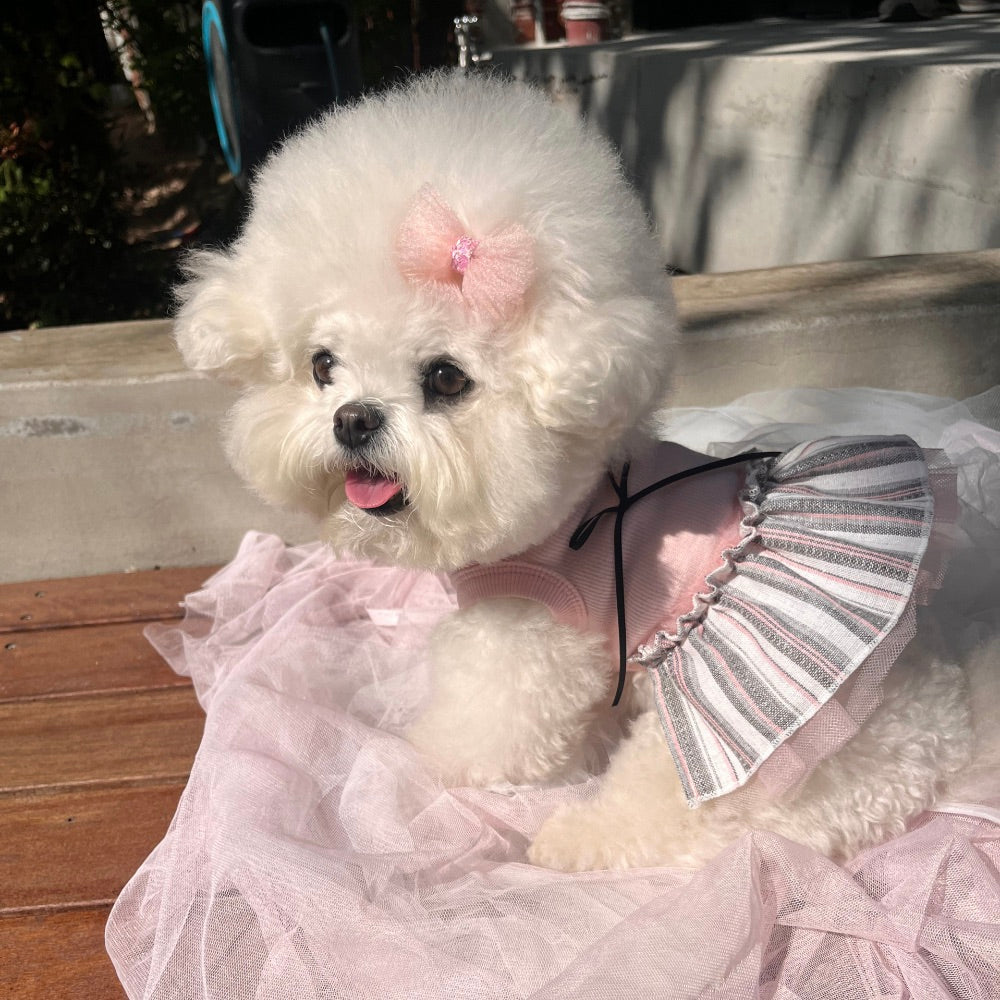 ※予約販売【Hi Yeboo】Vivi Tutu Sleeveless（Pink）