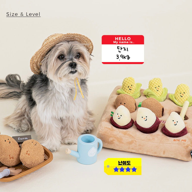 海外犬服 高品質なインポートのドッグウェア通販 