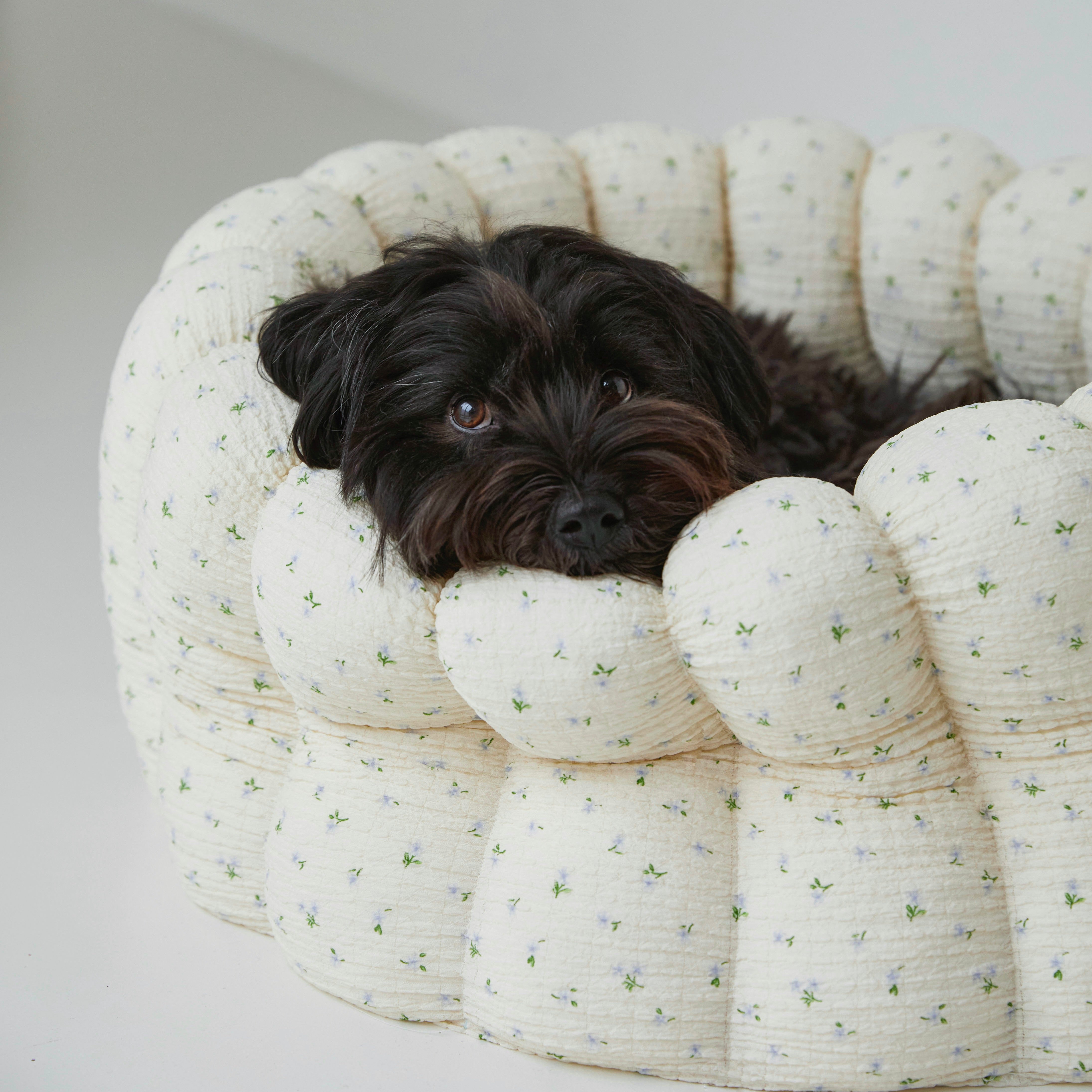 azalea azallea カヌレクッション　ベッド Lサイズ azalea azallea カヌレクッション ベッド Lサイズ