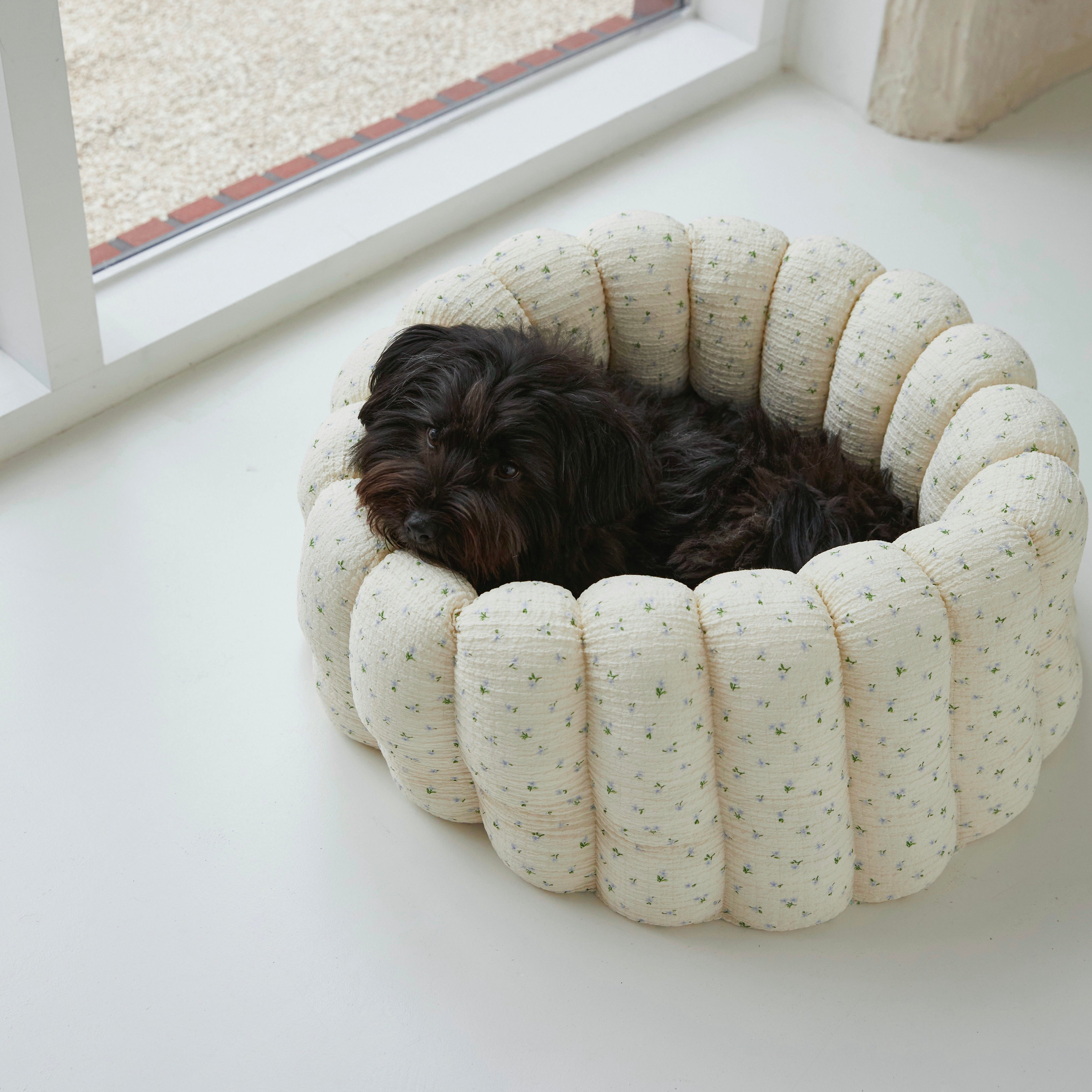 海外犬服 高品質なインポートのドッグウェア通販 