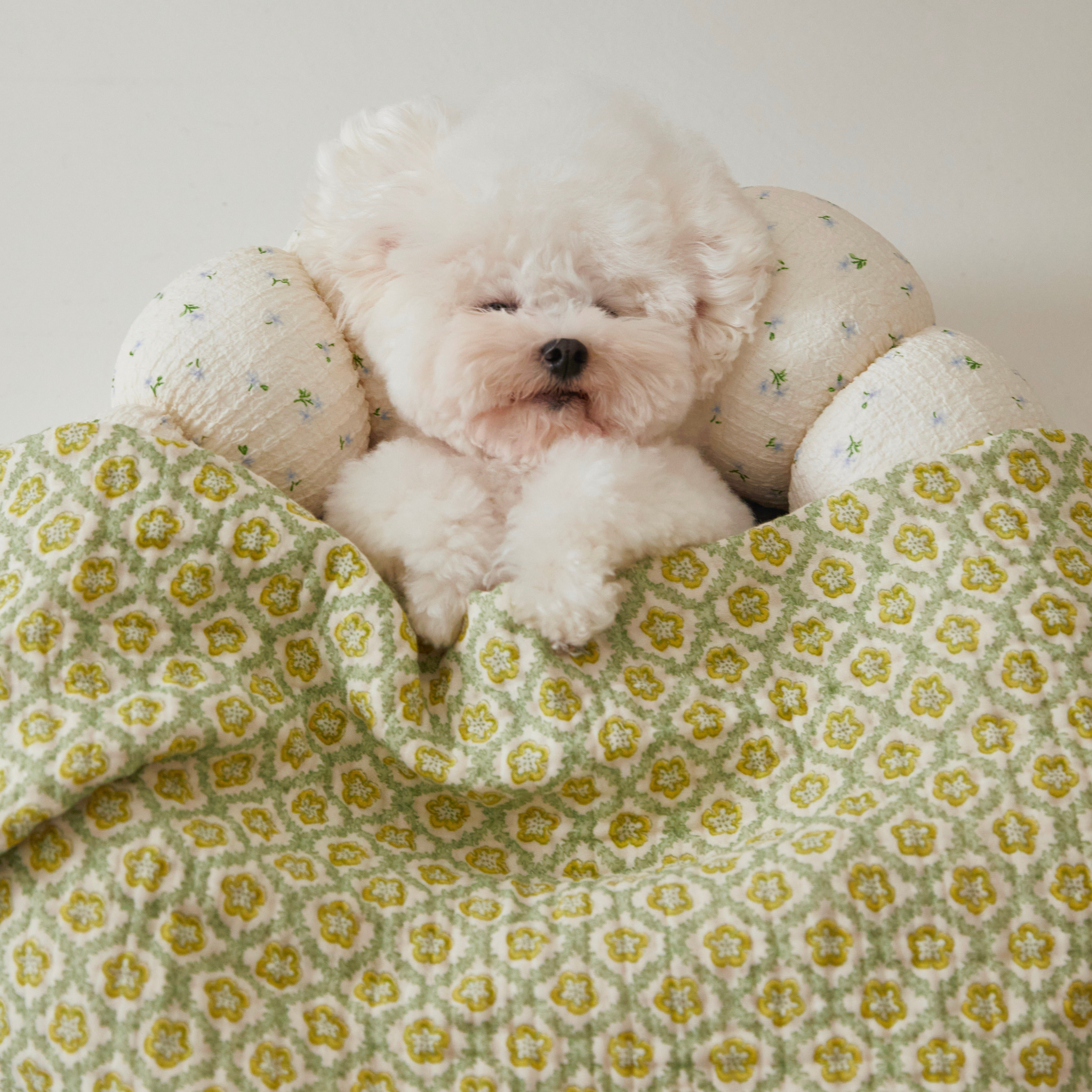 〚新品〛【AZALLEA】 カヌレ クッション バイオレット ピンク ベッド azallea – URBAN DOG TOKYO