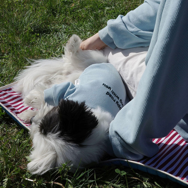 即納【noonoosoom】Half zip up（Light Blue）