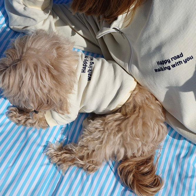 即納【noonoosoom】Half zip up（Butter）