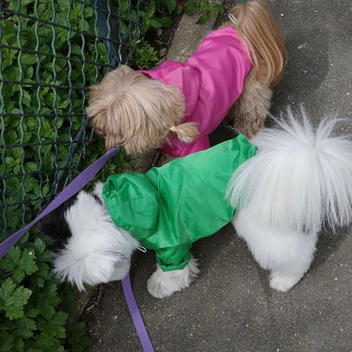 即納【noonoosoom】Windbreaker jacket（Green）