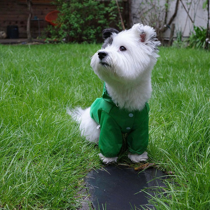即納【noonoosoom】Windbreaker jacket（Green）