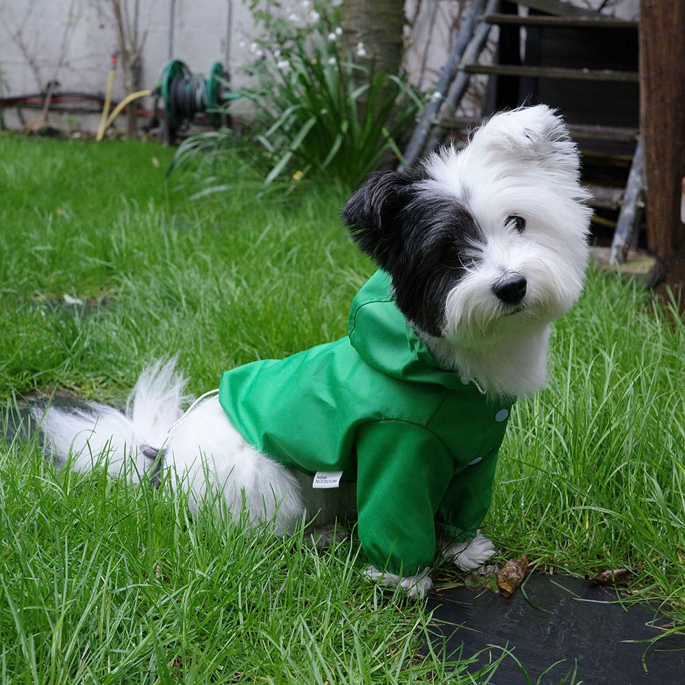 即納【noonoosoom】Windbreaker jacket（Green）