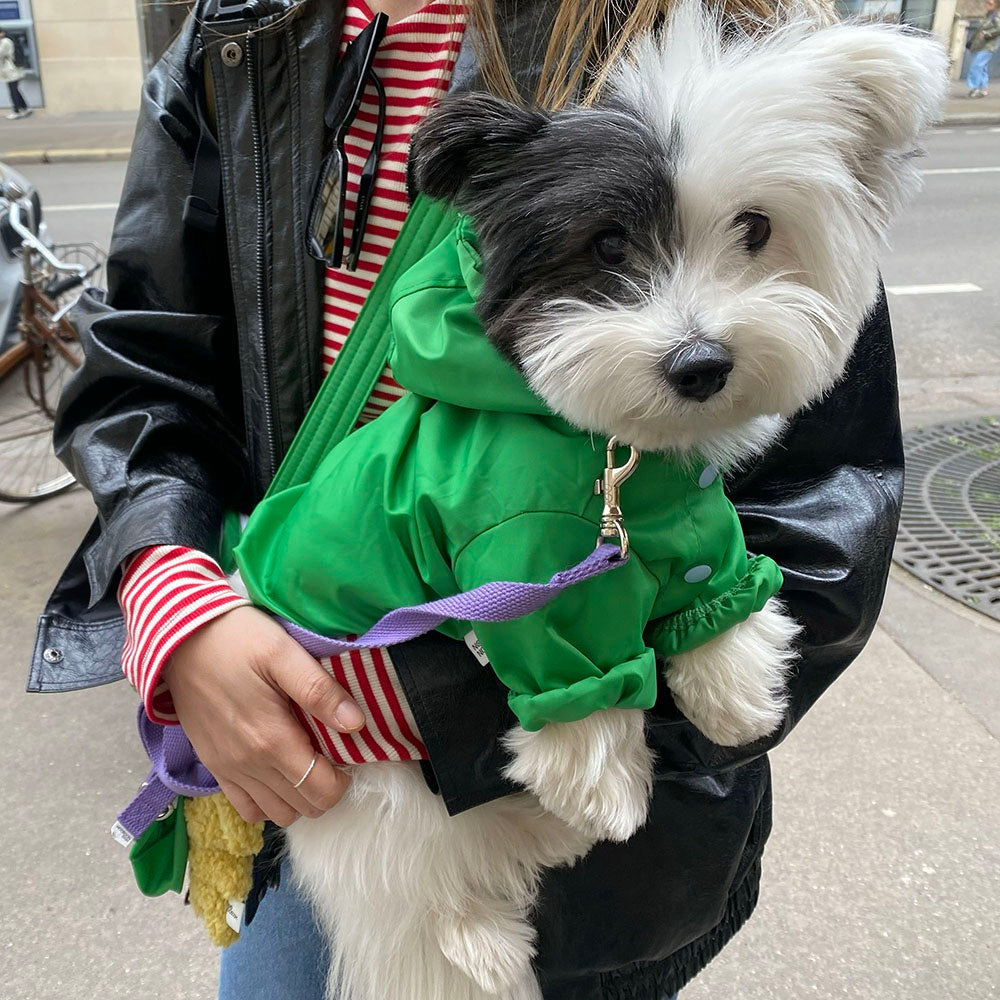 即納【noonoosoom】Windbreaker jacket（Green）