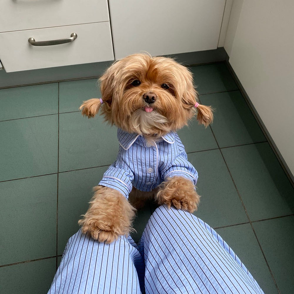 即納【noonoosoom】Stripe pajama（Blue）