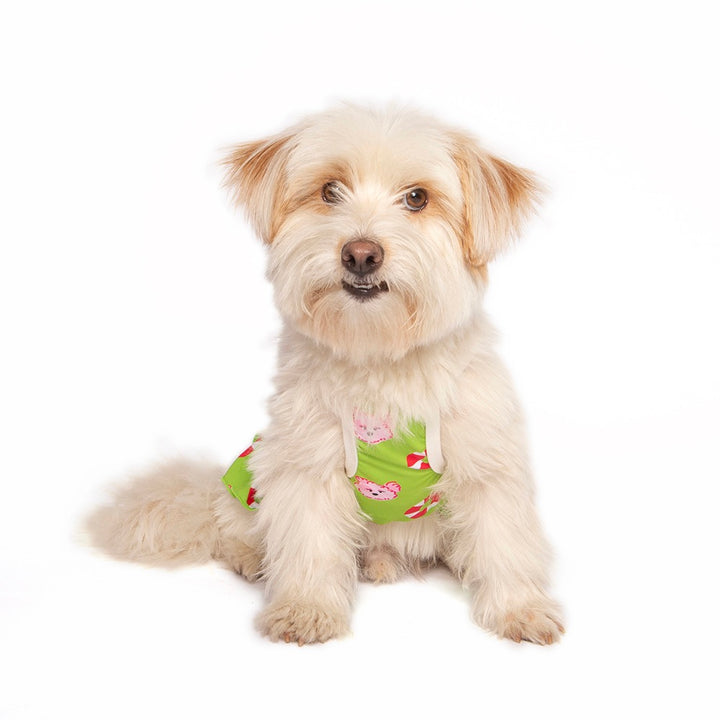 即納【noonoosoom】Noonoo buddy FAN dress（Green）