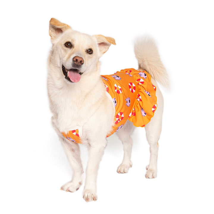 即納【noonoosoom】Noonoo buddy FAN dress（Orange）