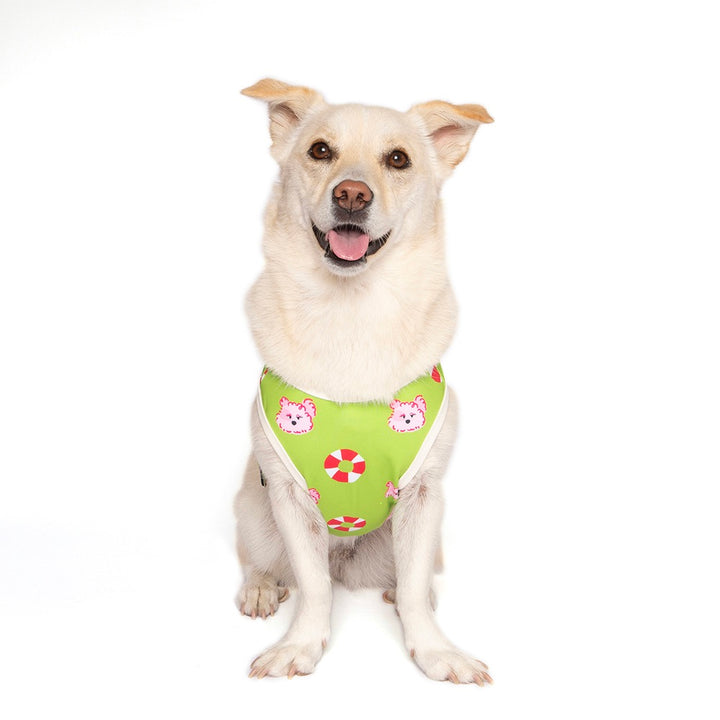 即納【noonoosoom】Noonoo buddy FAN tee（Green）