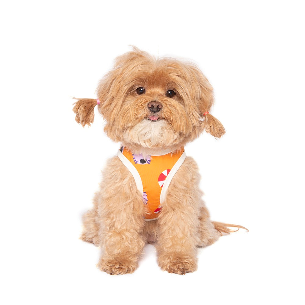 即納【noonoosoom】Noonoo buddy FAN tee（Orange）