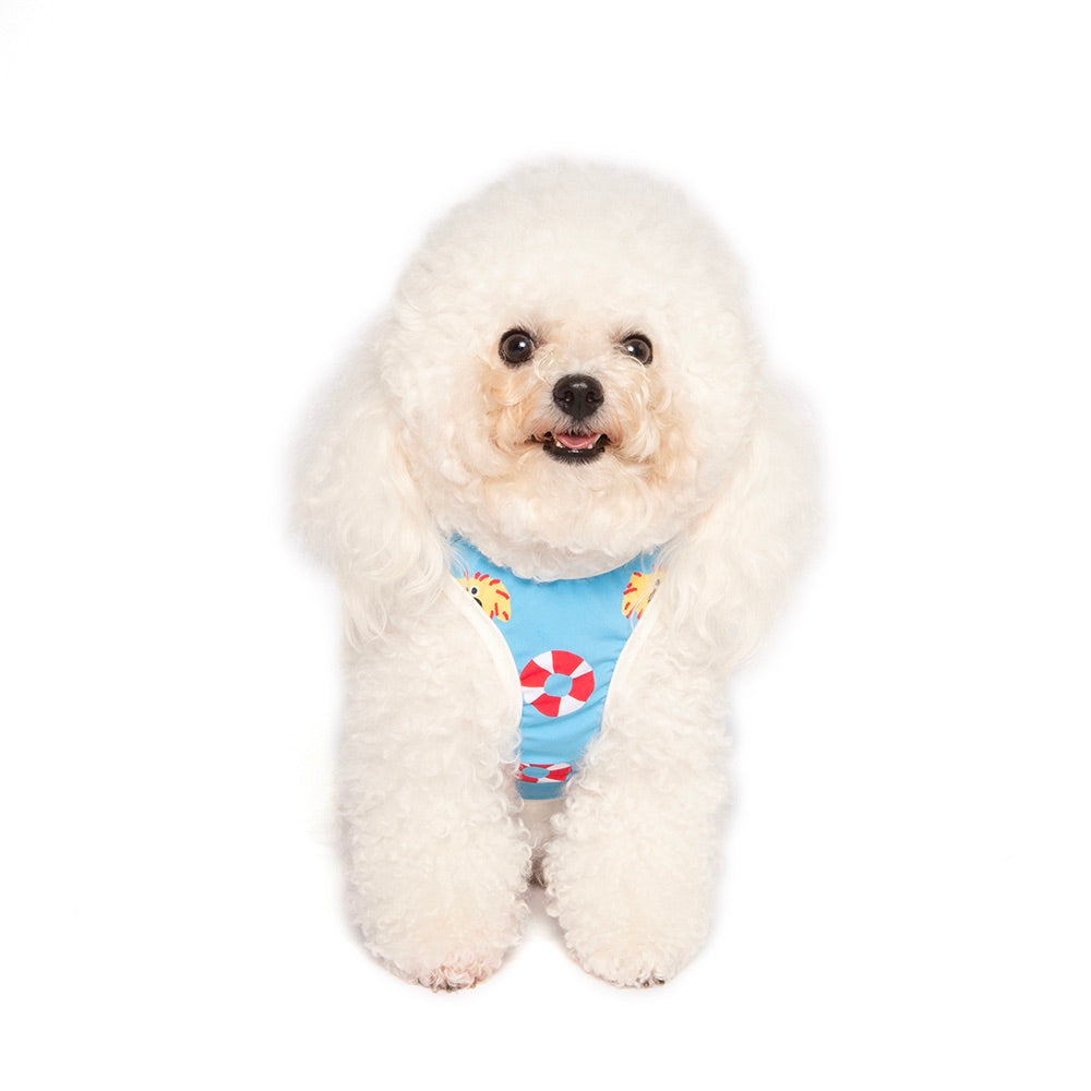 即納【noonoosoom】Noonoo buddy FAN tee（Sky）