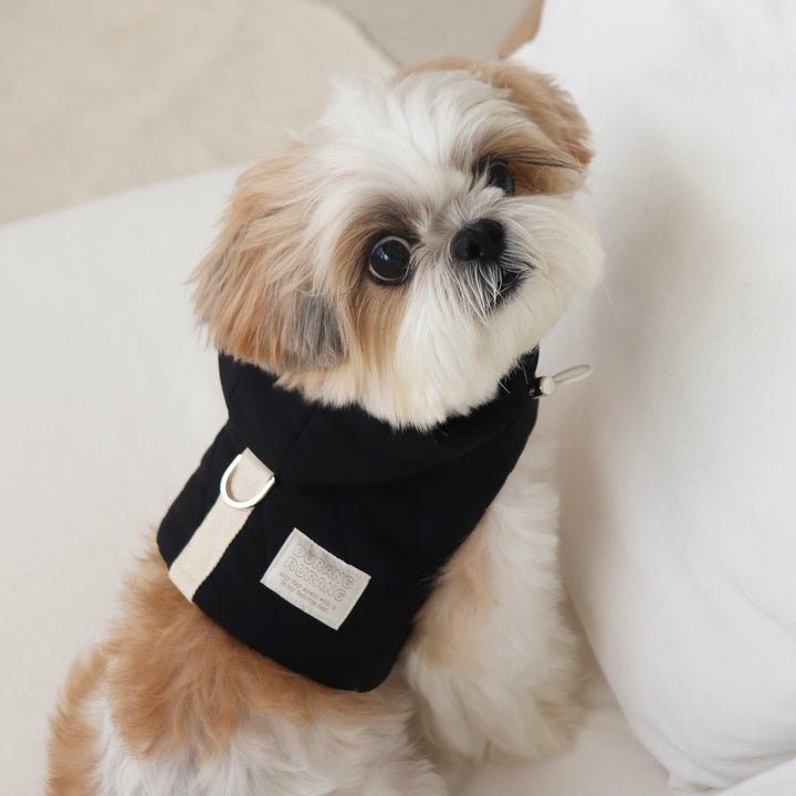 即納【DURANG RURANG】Daily Padding Harness（Black）