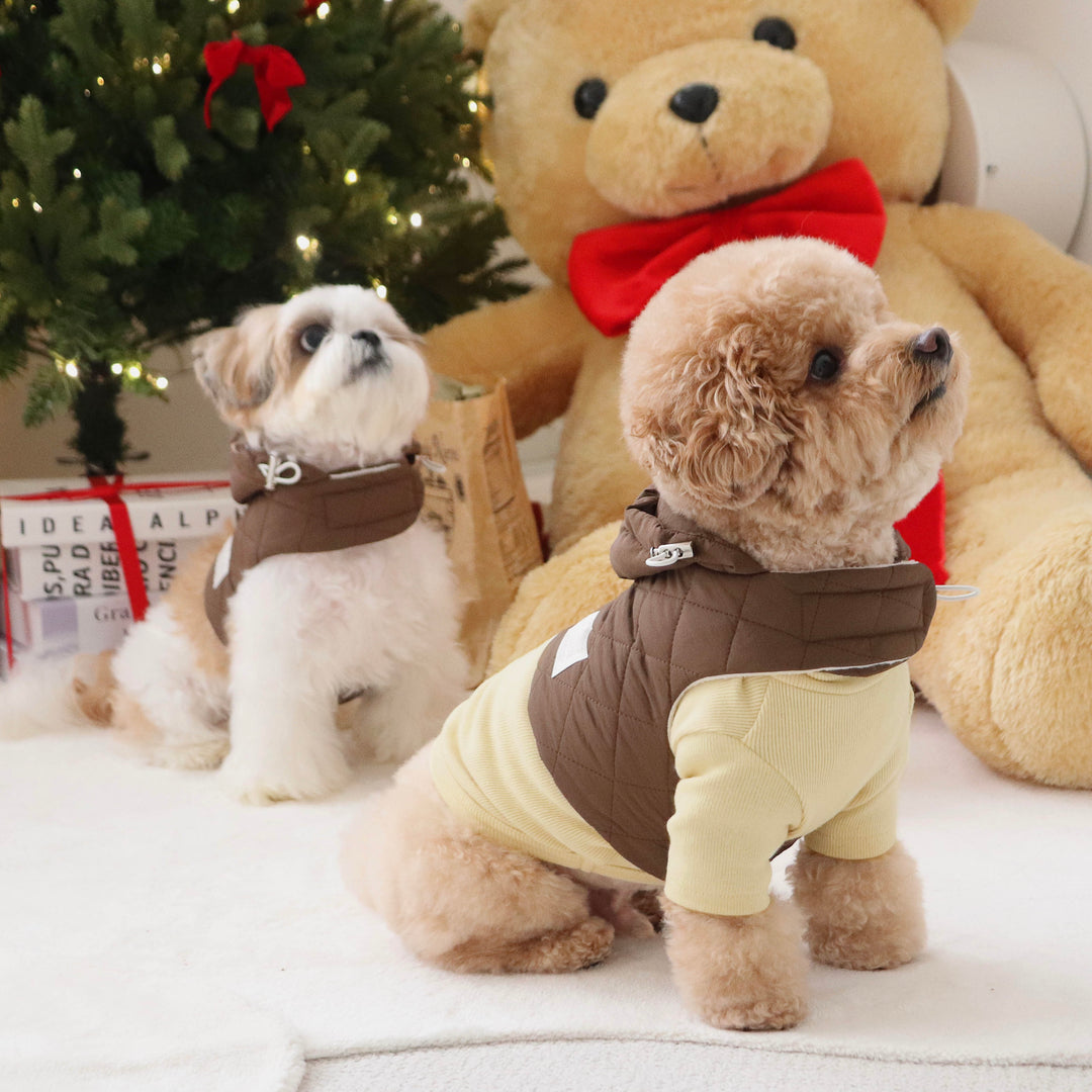 即納【DURANG RURANG】Daily Padding Harness（Brown）