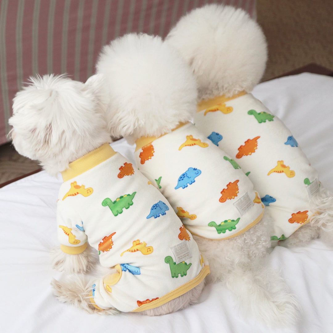 ※予約販売【DURANG RURANG】Dinosaur Fleece All in one