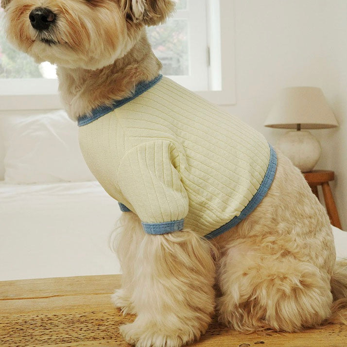 即納【noonoosoom】All day crop top（Ivory）
