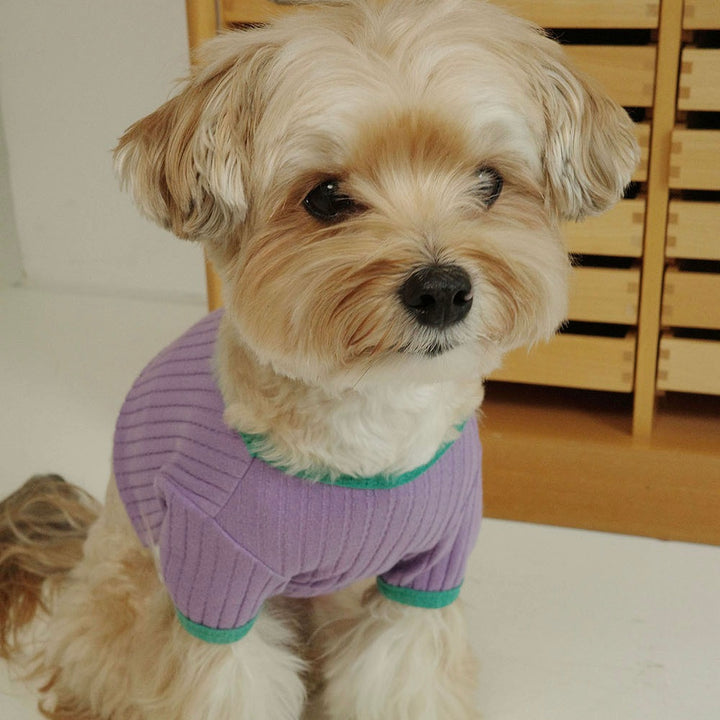即納【noonoosoom】All day crop top（Purple）