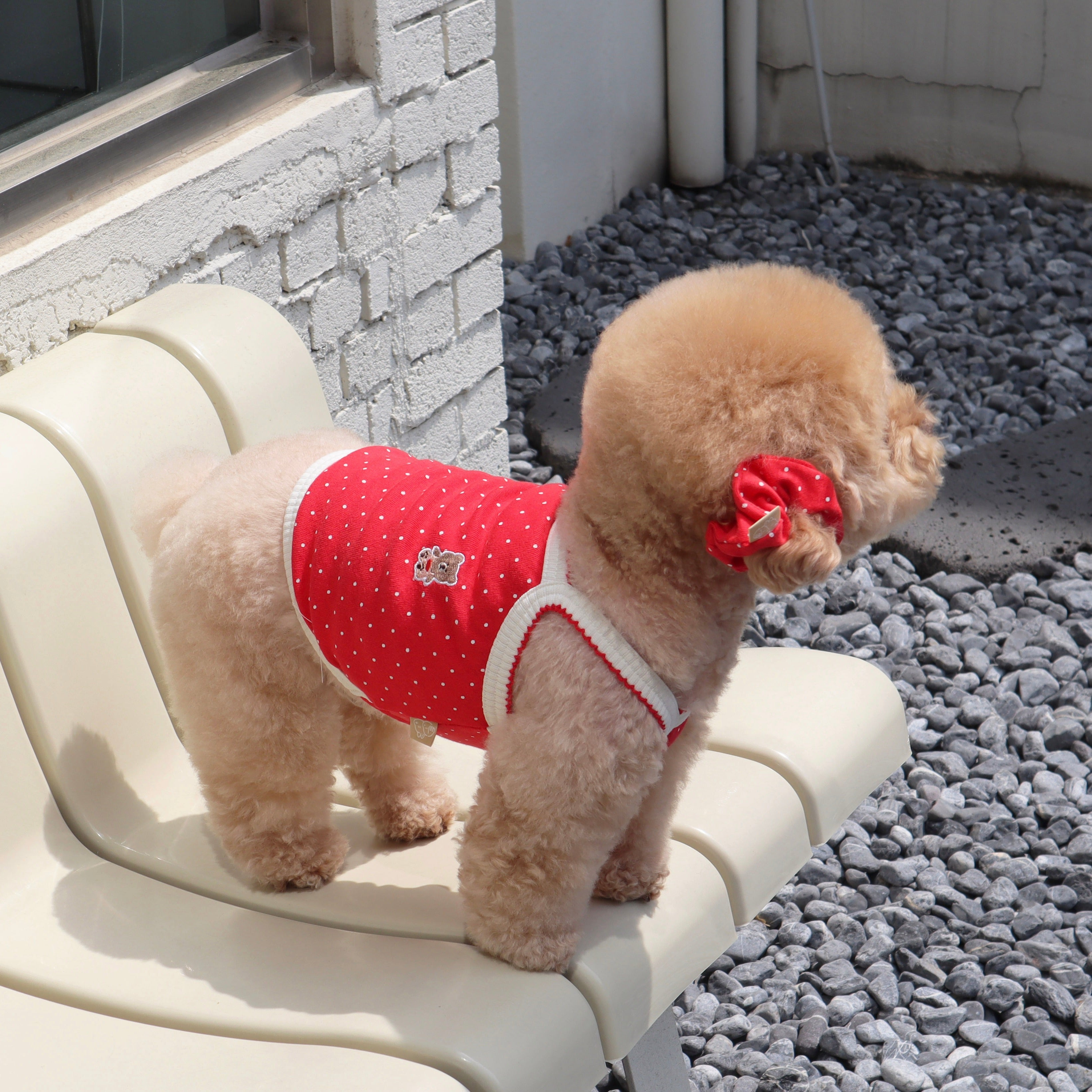 海外犬服 高品質なインポートのドッグウェア通販 